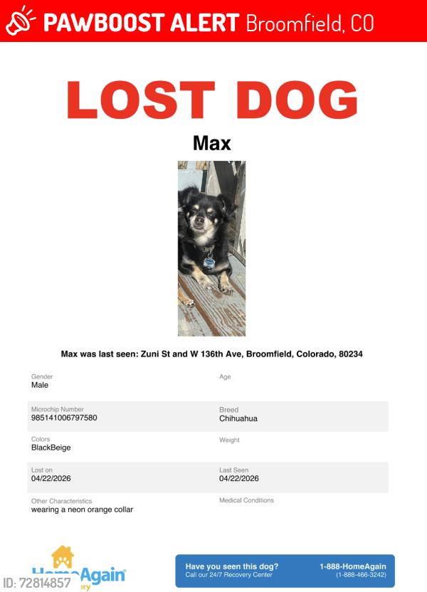 Lost Male Dog last seen last saw by micheal pond on zuni and then by 136th and zuni, Broomfield, CO 80020