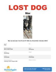 Lost Male Dog last seen last saw by micheal pond on zuni and then by 136th and zuni , Broomfield, CO 80020