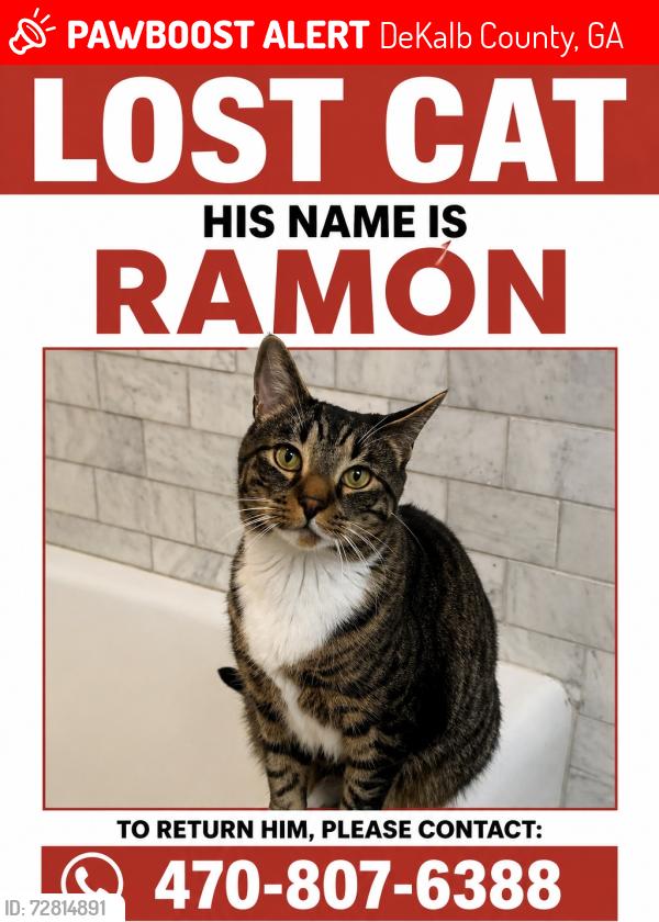 Lost Male Cat last seen  Colonial Way, Chamblee, GA 30341, DeKalb County, GA 30341