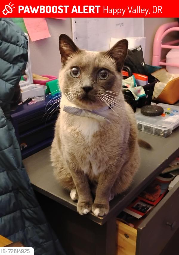 Lost Male Cat last seen 169th and Sunnyside , Happy Valley, OR 97086