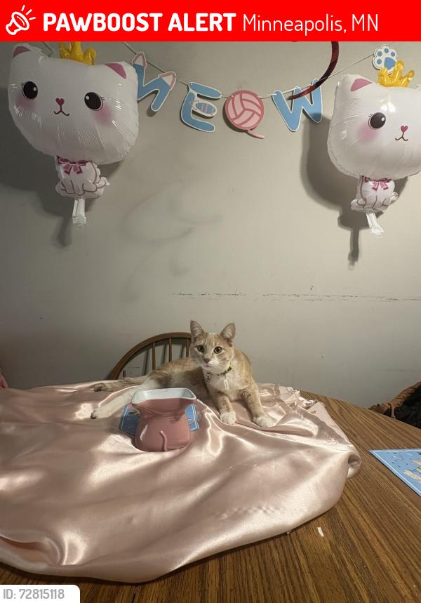 Lost Female Cat last seen Near pillsbury ave s Minneapolis , Minneapolis, MN 55404
