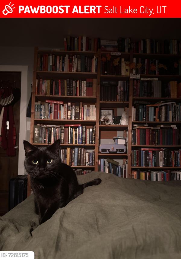Lost Female Cat last seen Near E 1700 S, Salt Lake City, UT 84115