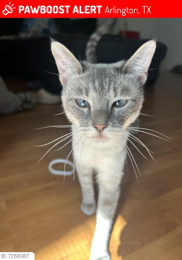 Lost Female Cat last seen B.C Barnes Park, Arlington, TX 76014