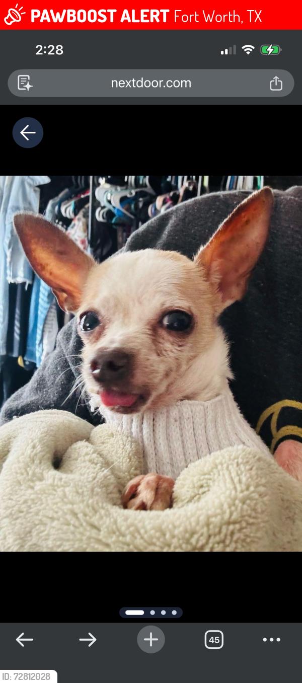 Lost Female Dog last seen Calloway & buchanan, Fort Worth, TX 76114