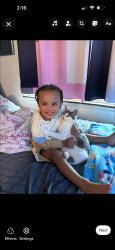 Lost Male Cat last seen Ne 8th street Gresham Oregon , Gresham, OR 97030