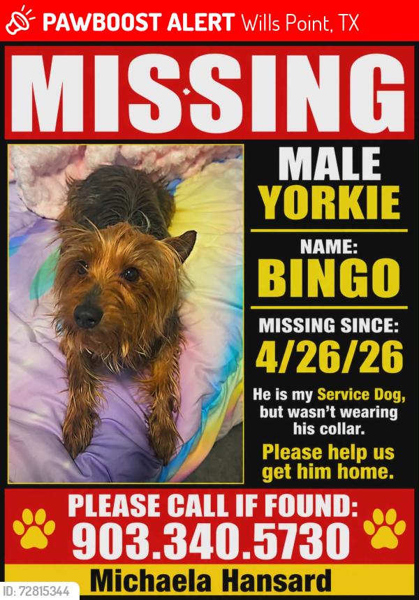 Lost Male Dog last seen Near and 751, Wills Point, TX 75169
