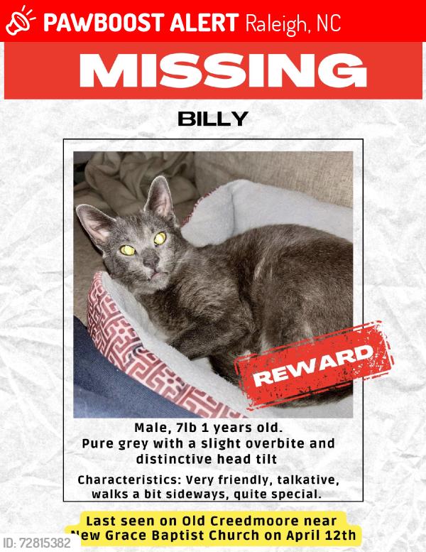 Lost Male Cat last seen New Grace Baptist Church, Raleigh, NC 27613