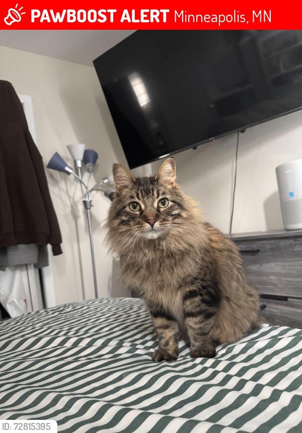 Lost Male Cat last seen Near pleasant , Minneapolis, MN 55404