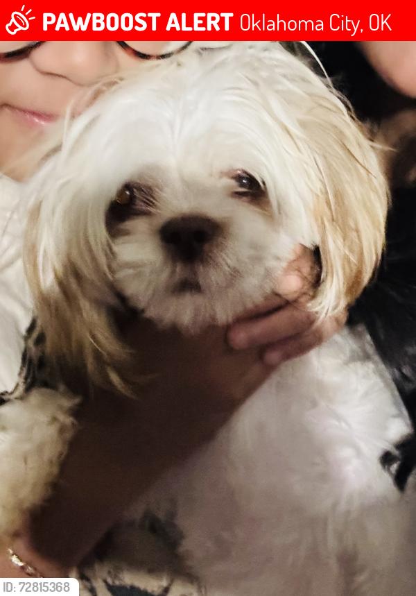 Lost Female Dog last seen Near nw 33 st okc ok 73112, Oklahoma City, OK 73112