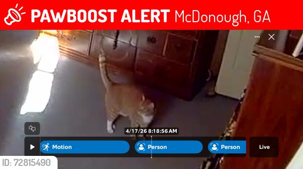 Lost Male Cat last seen McGarity rd , nearest cross street is Carter rd, McDonough, GA 30252