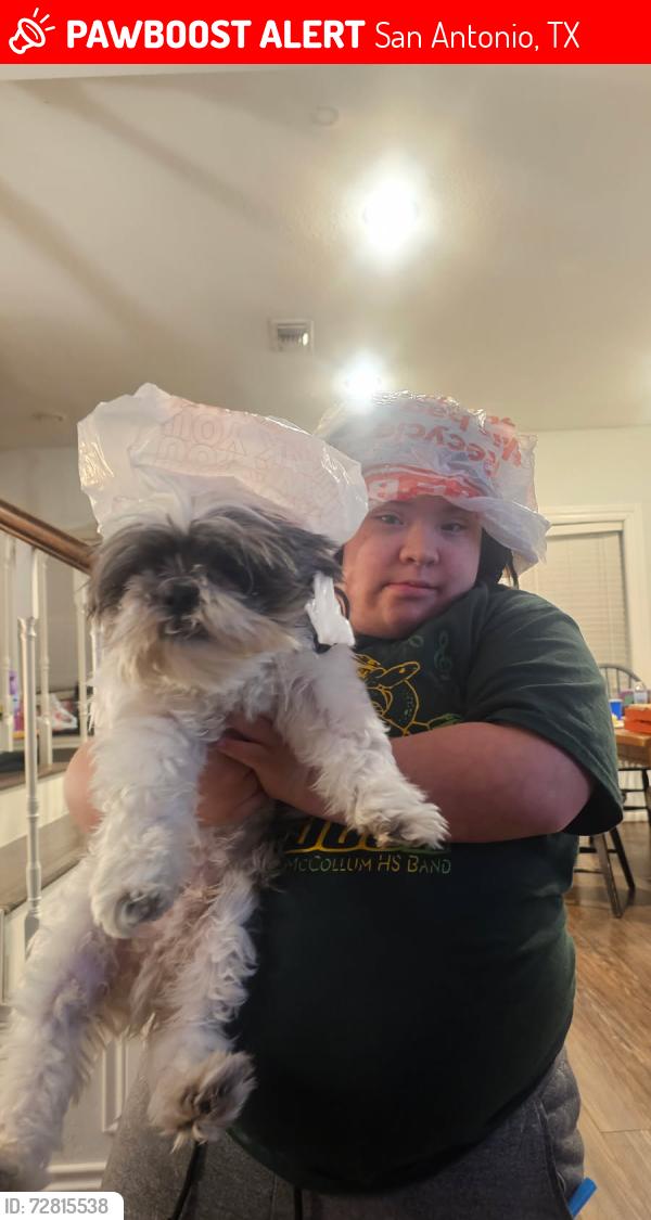 Lost Male Dog last seen Rosewood and Hildebrand , San Antonio, TX 78201