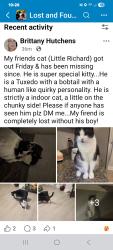 Lost Male Cat last seen Golf course lane townhouses right behind Lowe's , Clarksville, TN 37040