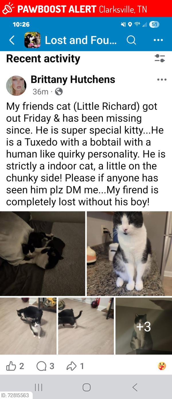 Lost Male Cat last seen Golf course lane townhouses right behind Lowe's , Clarksville, TN 37040