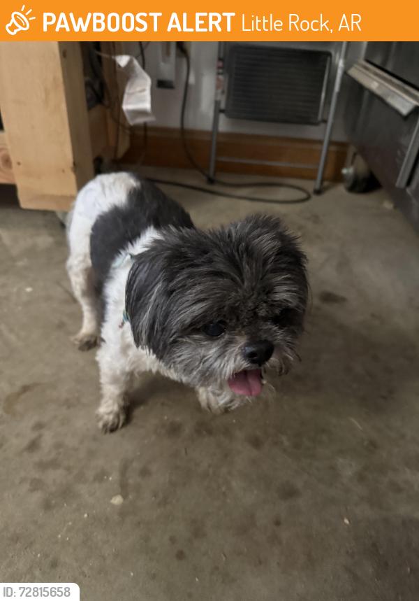 Found/Stray Male Dog last seen Old Fordge Dr, Old Forge Court, Little Rock, AR 72227