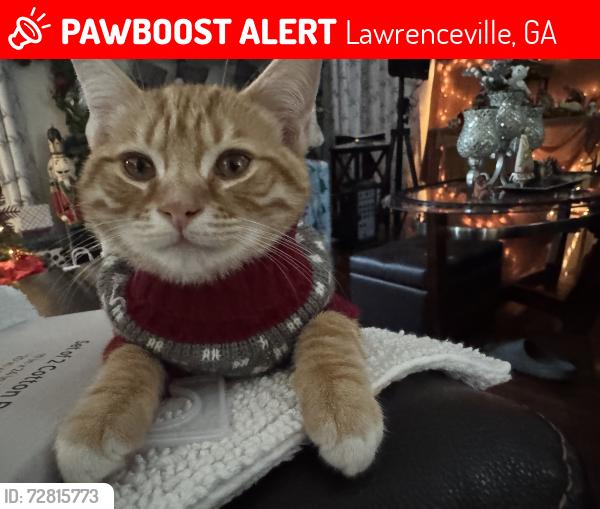 Lost Male Cat last seen Rhodes Jordan park, Lawrenceville, GA 30046