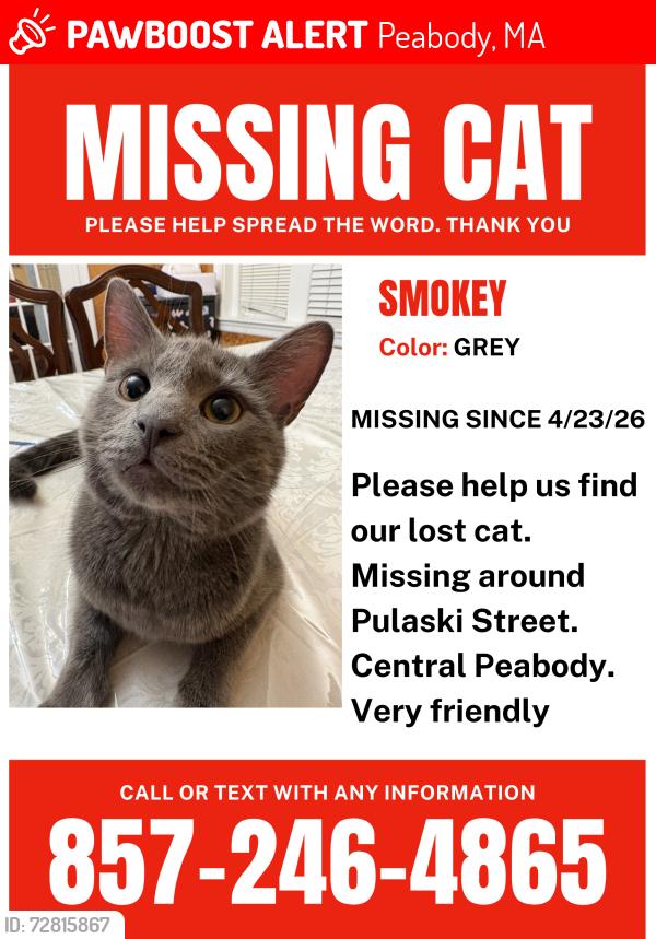 Lost Male Cat last seen Pulaski and Central Street Peabody MA, Peabody, MA 01960