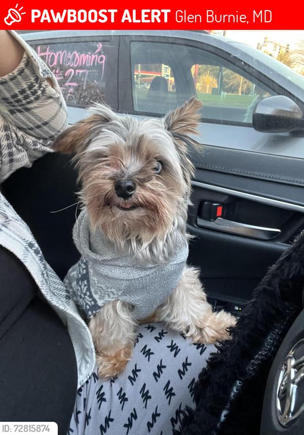 Lost Male Dog last seen D street , Glen Burnie, MD 21061