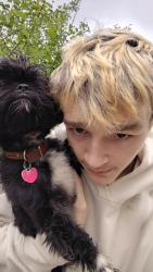 Found/Stray Male Dog last seen 1st avenue , Terre Haute, IN 47807