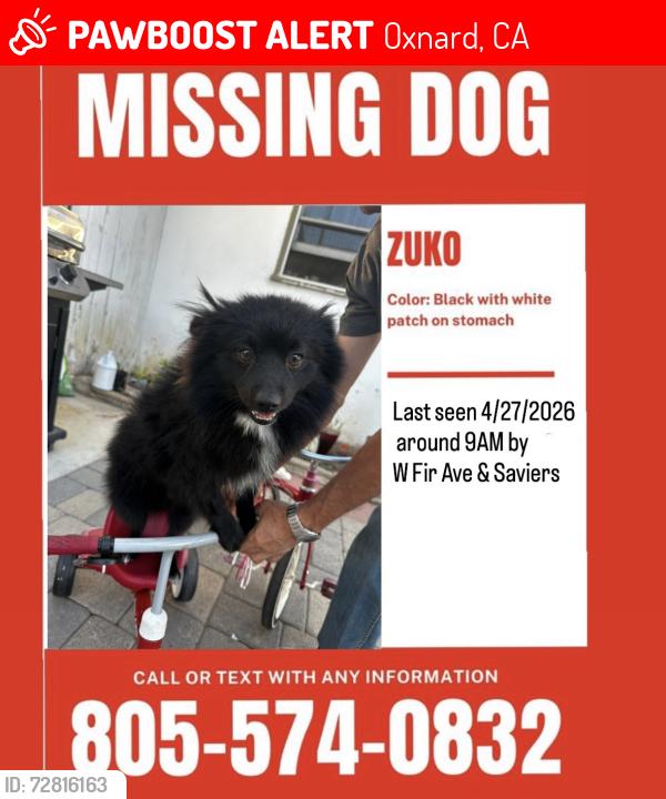 Lost Male Dog last seen Saviors rd, Oxnard, CA 93033