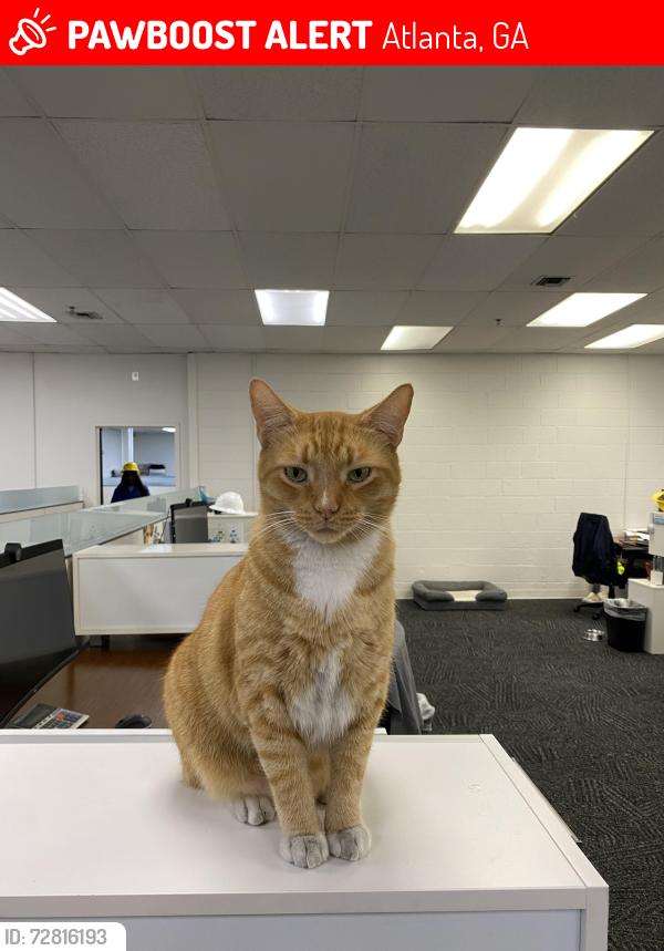 Lost Male Cat last seen Frederick Drive SW, Fulton Industrial Blvd SW, Atlanta, GA 30336