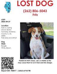 Lost Male Dog last seen Wilmot and Park Ln, Spring Grove, IL 60081