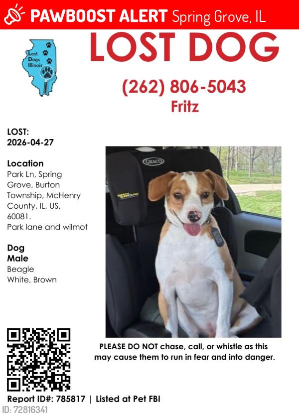 Lost Male Dog last seen Wilmot and Park Ln, Spring Grove, IL 60081