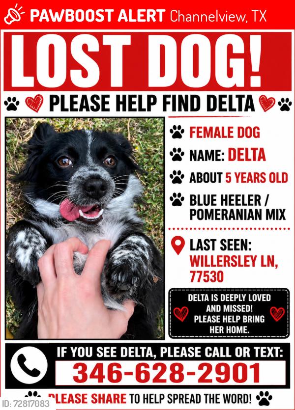 Lost Female Dog last seen Ferness Lane , Channelview, TX 77530