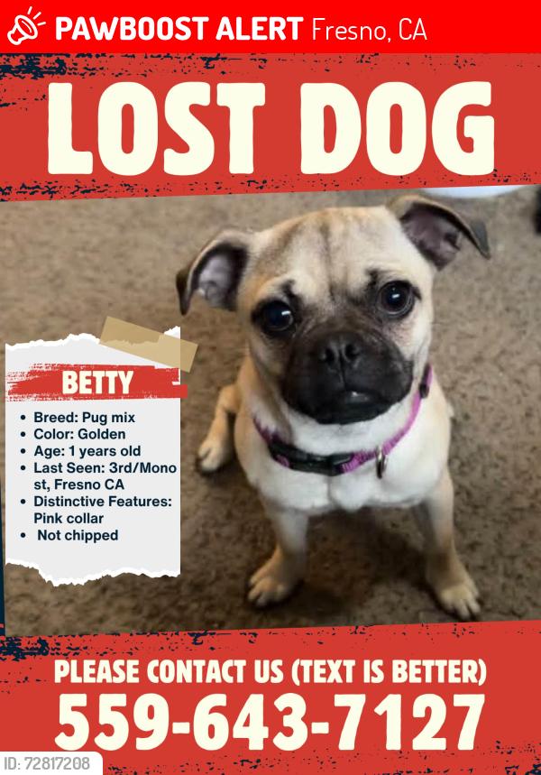 Lost Female Dog last seen 3rd and Mono ave, Fresno, CA 93702