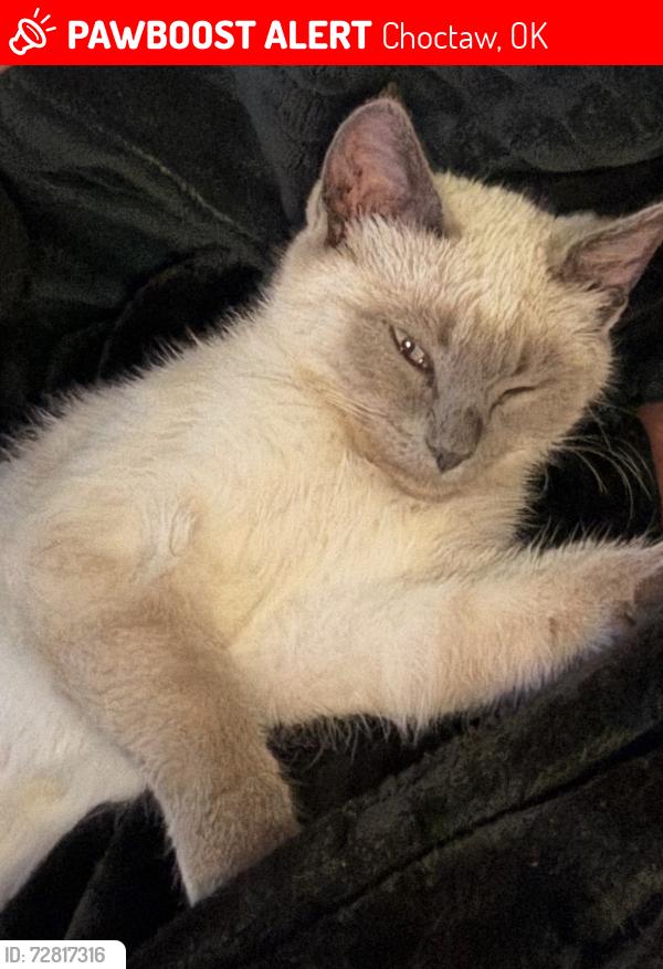 Lost Male Cat last seen X, Choctaw, OK 73020