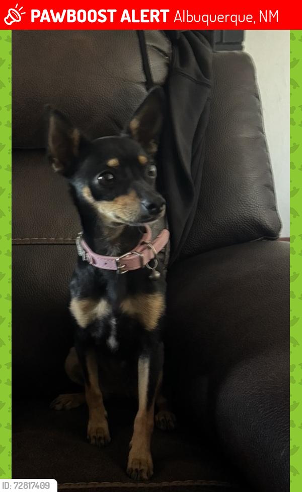 Lost Female Dog last seen Delgado Street and Rio Puerco, Albuquerque, NM 87121