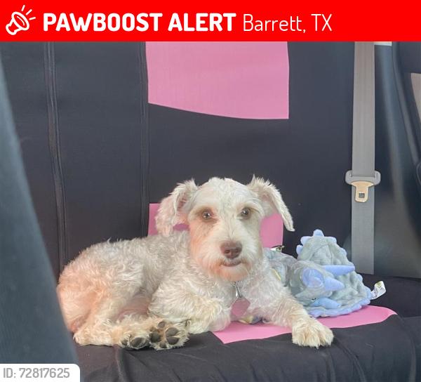 Lost Male Dog last seen Joan Of Arc St. , Barrett, TX 77532