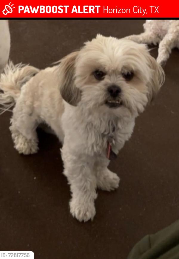 Lost Male Dog last seen Eastlake & Dartington, Horizon City, TX 79928