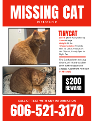 Lost Male Cat last seen Seasons on Chelsea apmts, Fort Mitchell, KY 41017