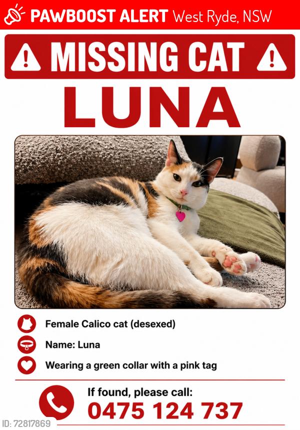 Lost Female Cat last seen West ryde, West Ryde, NSW 2114