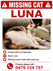 Lost Female Cat last seen West ryde, West Ryde, NSW 2114