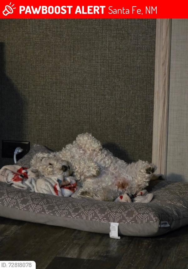 Lost Male Dog last seen Near puwanini, Santa Fe, NM 87506