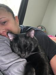 Lost Male Cat last seen Concord Crossing apmts, Smyrna, GA 30082