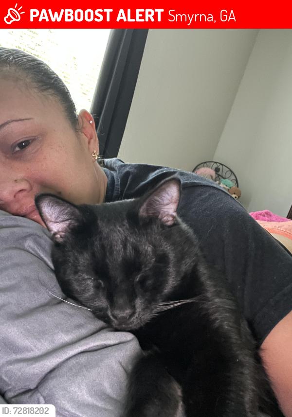 Lost Male Cat last seen Concord Crossing apmts, Smyrna, GA 30082