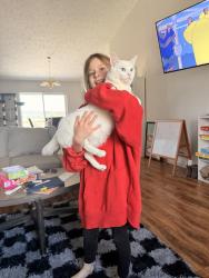Lost Male Cat last seen Pines , Spokane Valley, WA 99206