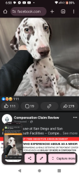 Lost Female Dog last seen Bakersfield 93313, Bakersfield, CA 93312