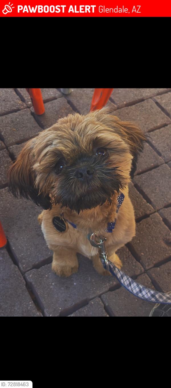 Lost Male Dog last seen Near Glendale Heroes Regional Park, Glendale, AZ 85303