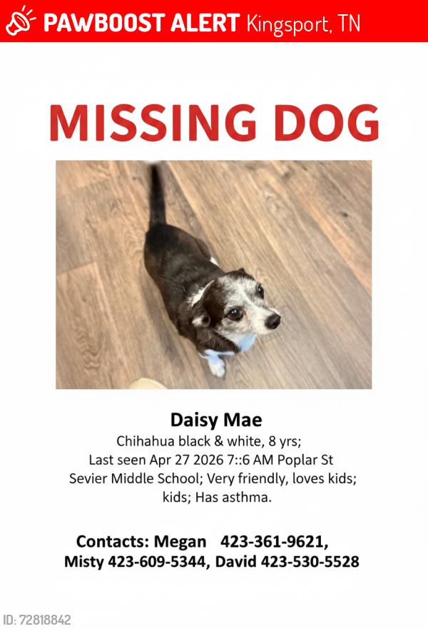 Lost Female Dog last seen Wateree/ Forest, Kingsport, TN 37660