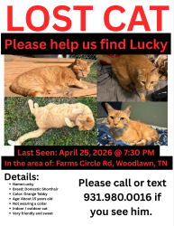 Lost Male Cat last seen farms circle rd woodlawn tn, Woodlawn, TN 37191