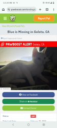 Found/Stray Female Cat last seen Kellog, Goleta, CA 93117
