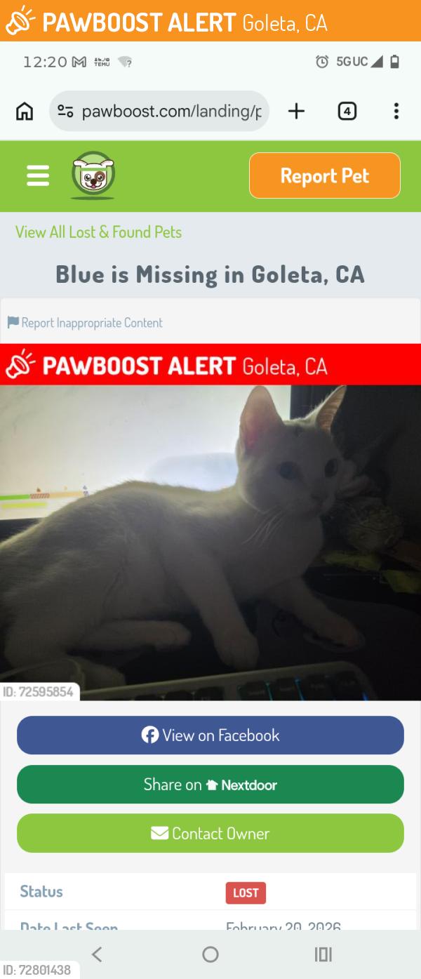 Found/Stray Female Cat last seen Kellog, Goleta, CA 93117
