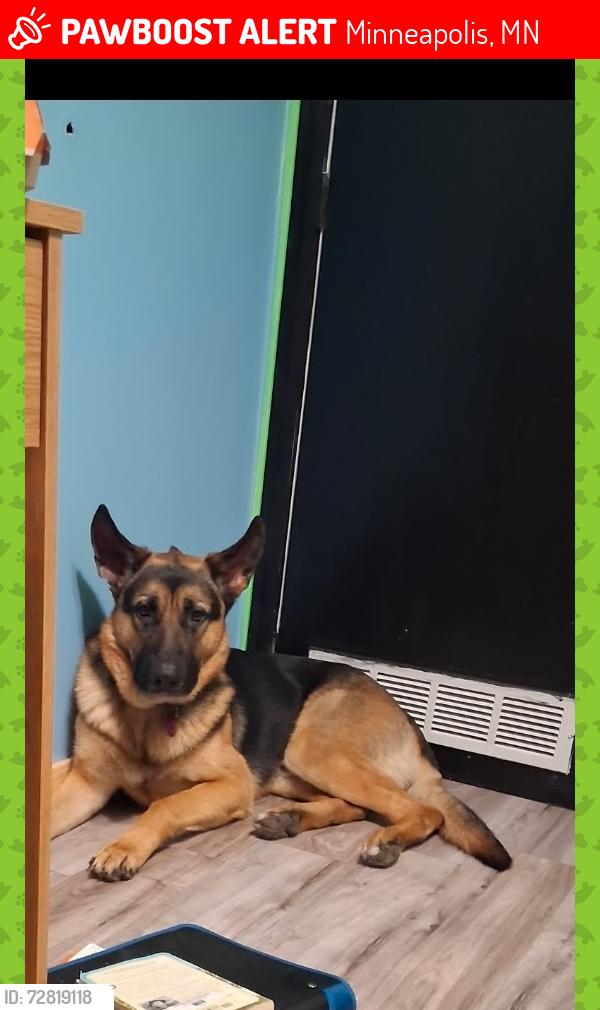 Lost Male Dog last seen 3546N 6th Street 55412 Minneapolis MN, Minneapolis, MN 55412