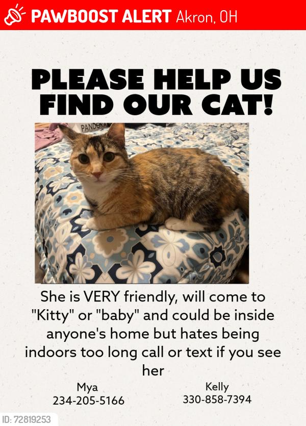 Lost Female Cat last seen Cramer between Hillbish & Massillon Rd, Akron, OH 44312