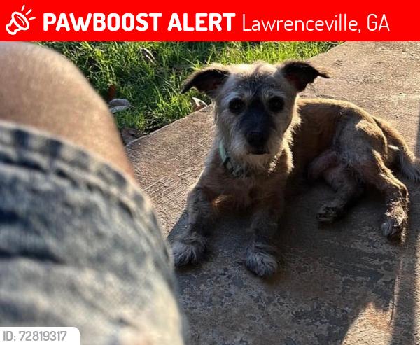 Lost Male Dog last seen Unknown , Lawrenceville, GA 30045