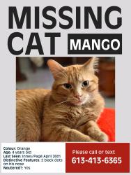 Lost Male Cat last seen Innes/Pagé Road, Ottawa, ON 