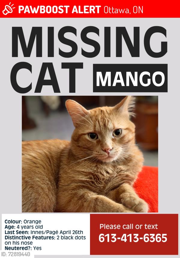 Lost Male Cat last seen Innes/Pagé Road, Ottawa, ON 